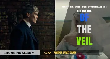 Unveiling the Core: Understanding the Veil's Central Idea