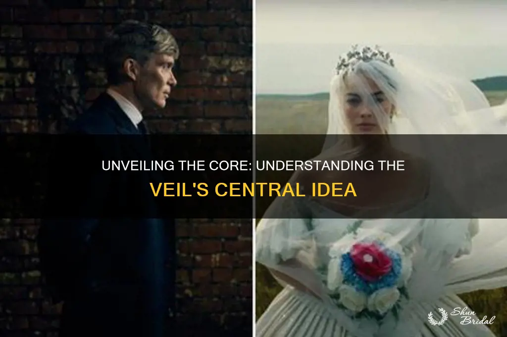 which statement best summarizes the central idea of the veil