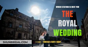 Top Royal Wedding Viewing Stations: Where to Watch the Big Day