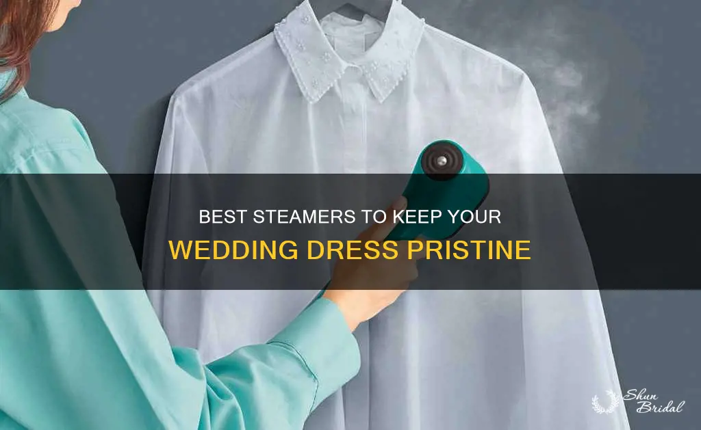 which steamer to use on wedding dress
