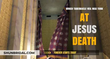 The Torn Tabernacle Veil: Unveiling the Mystery of Jesus' Death