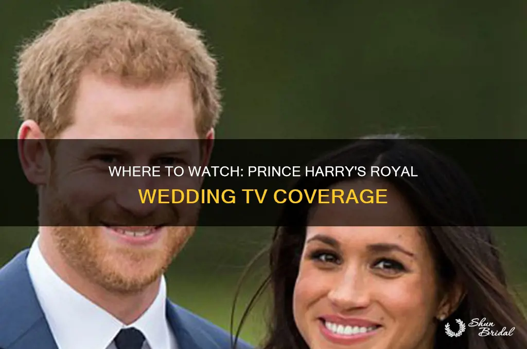 which tv channel is going to televise prince harry