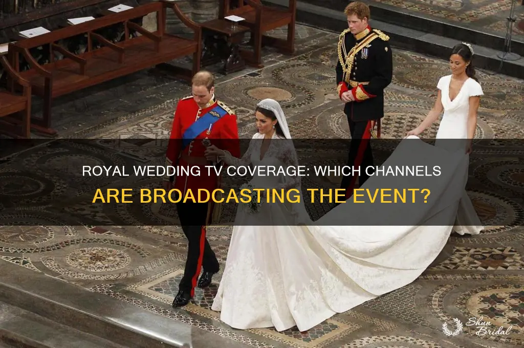 which tv seations are covering the royal wedding