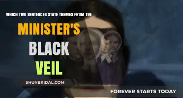 Unveiling Themes: Exploring the Minister's Black Veil's Dual Messages