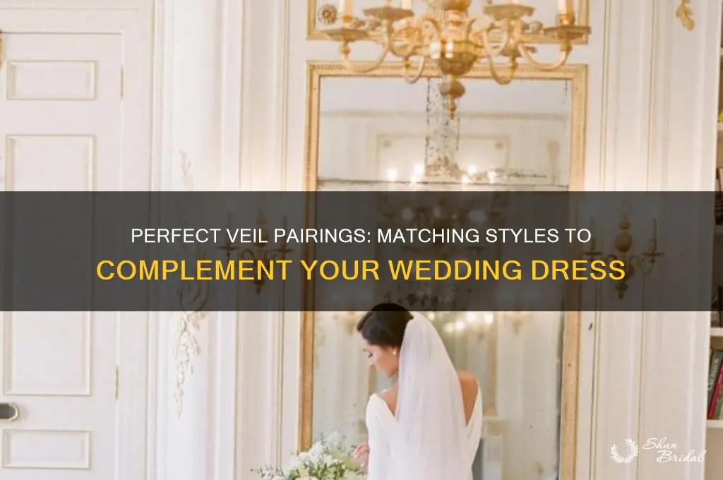 which veil for which dress