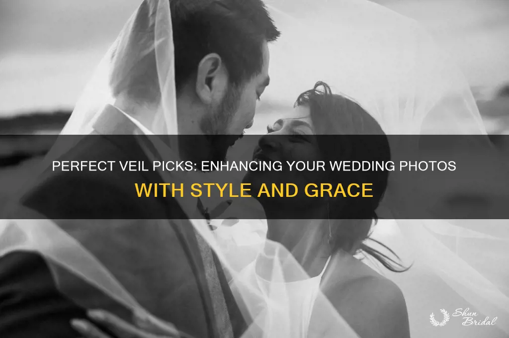 which veils look best in photos