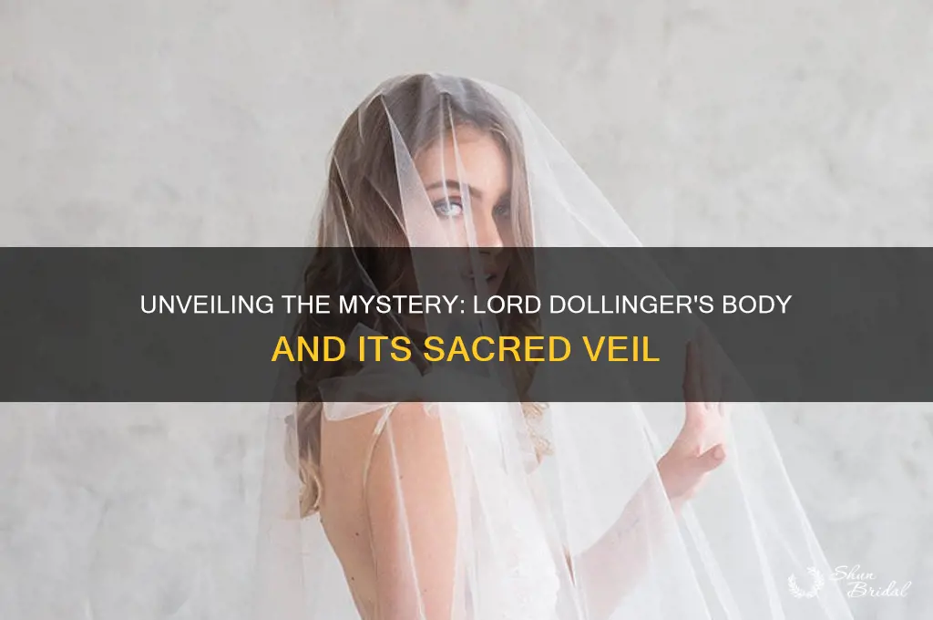 which veils the body of the lord dollinger