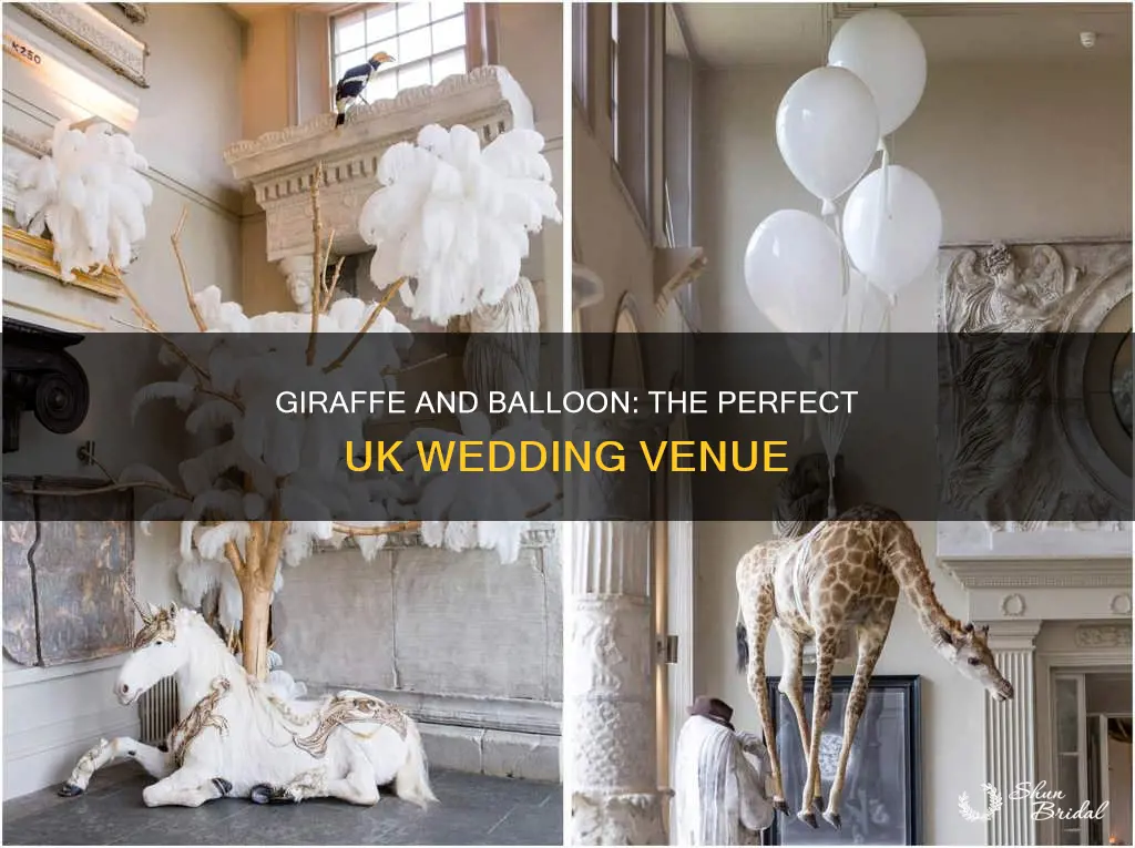 which wedding venue uk giraffe and balloon