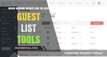 Top Wedding Websites for Effortless Guest List Management Tools