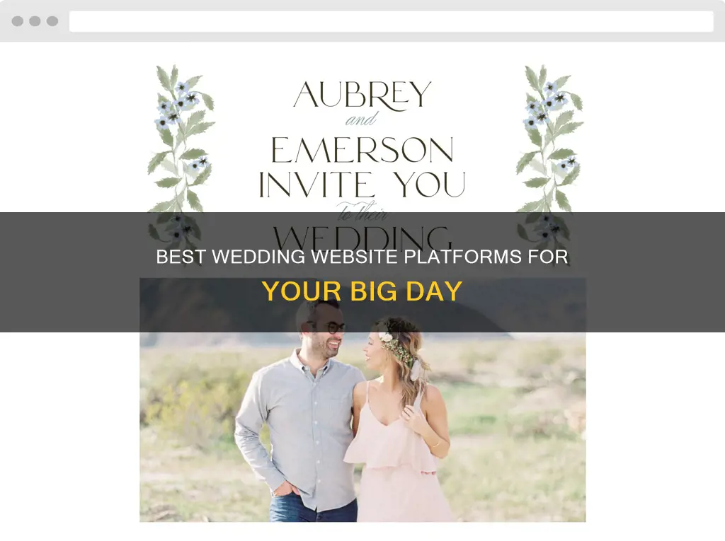 which wedding website to use