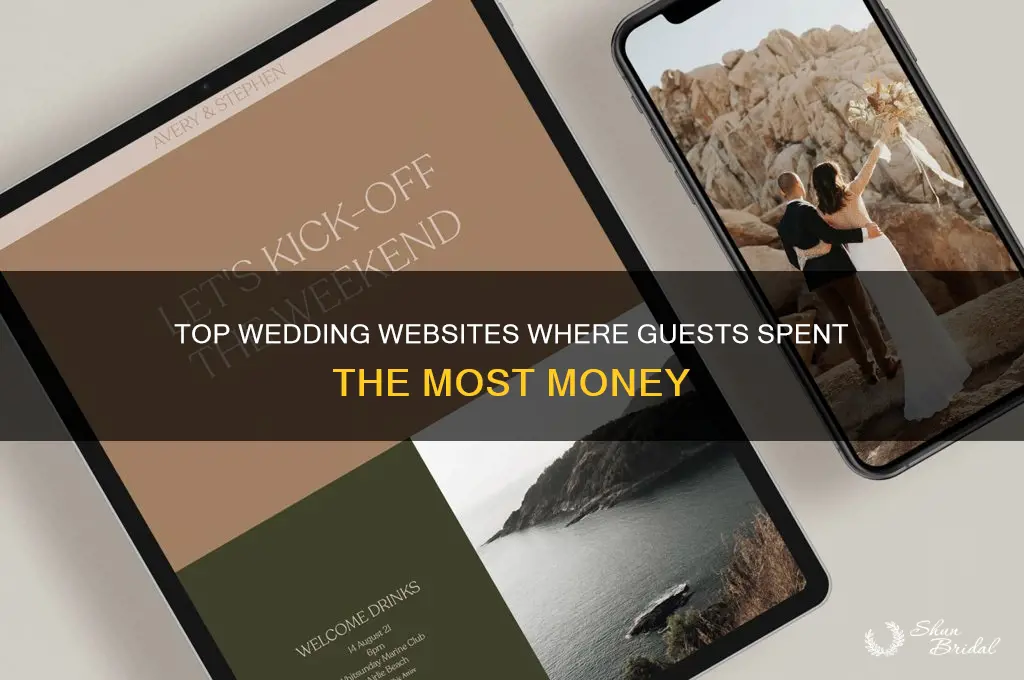 which wedding websites did guests use the most money