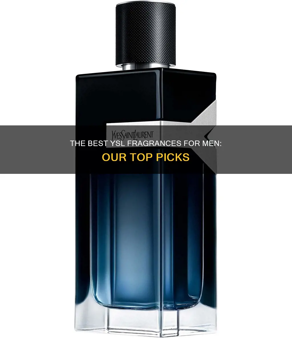 which ysl perfume is the best man