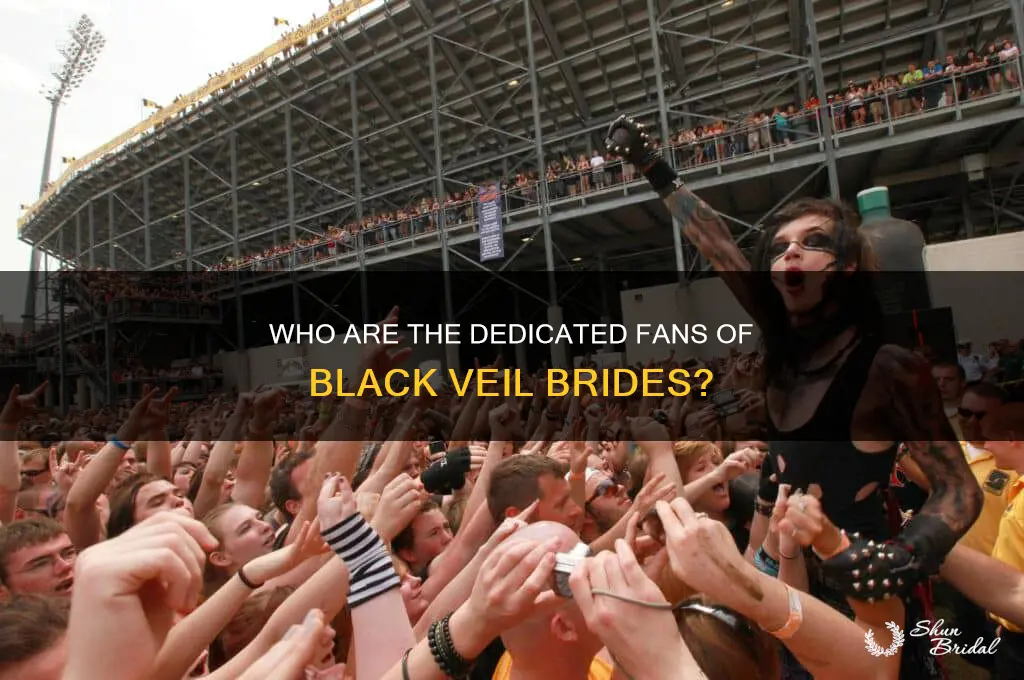 who actually listens to black veil brides