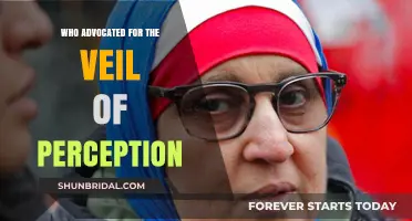 Unveiling the Veil: Exploring the Advocate Behind Perception's Mystery