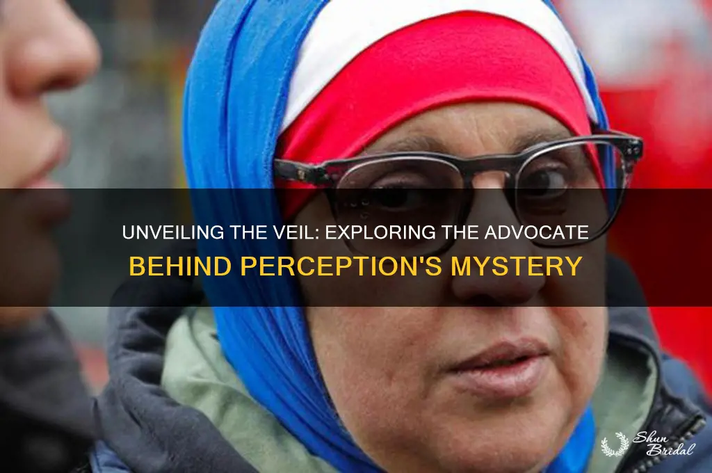 who advocated for the veil of perception