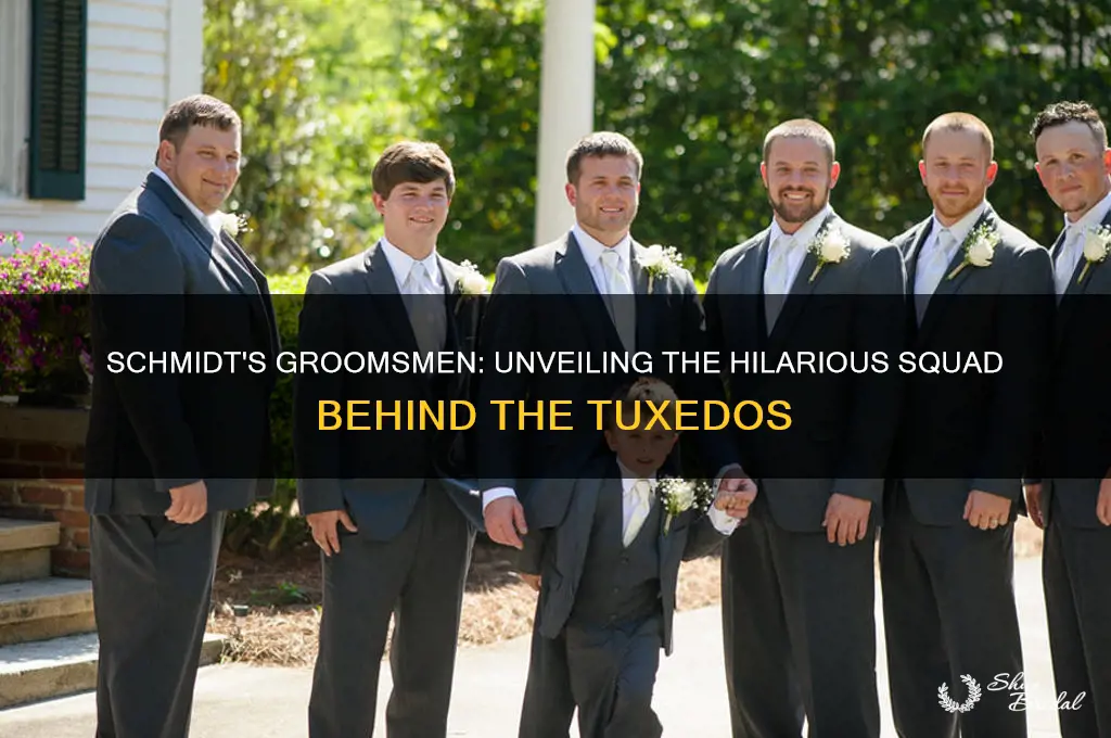 who are schmidt
