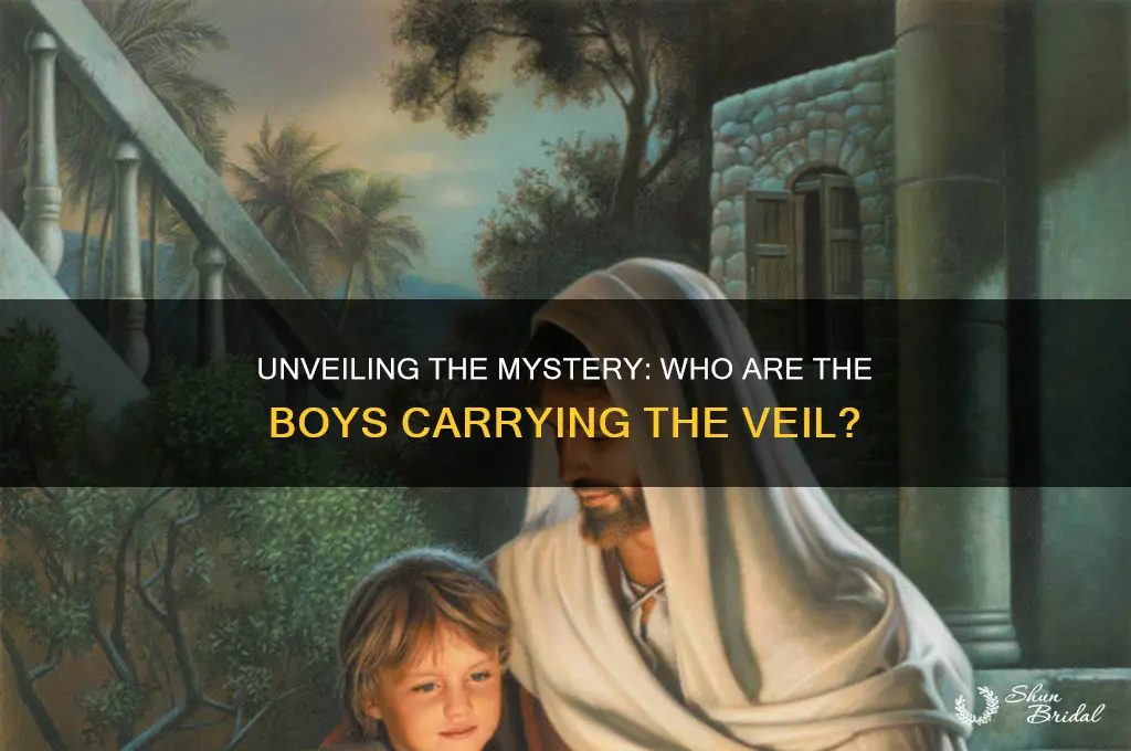 who are the boys carrying the veil