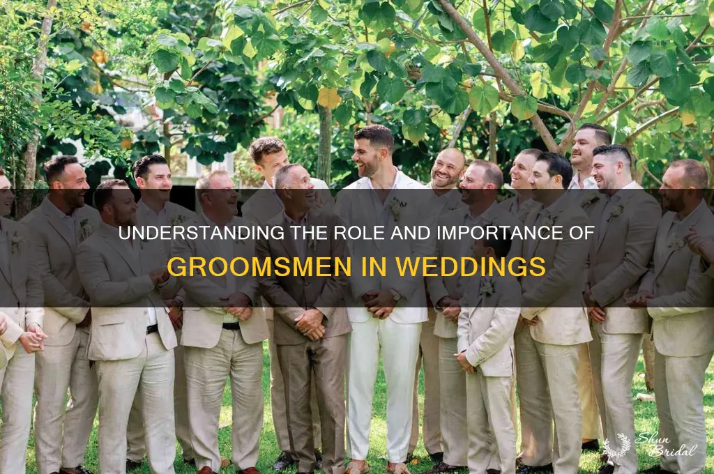 who are the groomsmen in a wedding