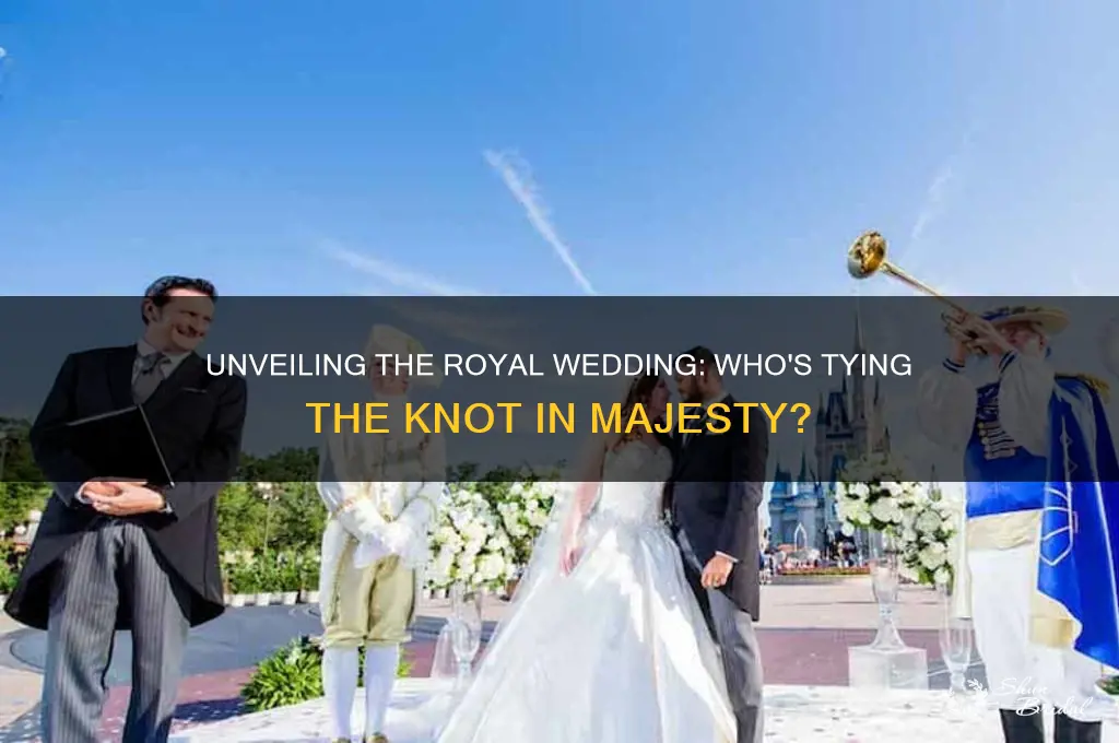who are the royal wedding wedding