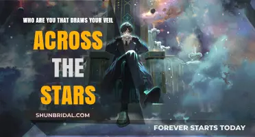 Veiled Across the Stars: Unveiling the Cosmic Mystery Within