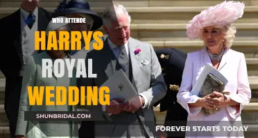 Who Attended Harry's Royal Wedding: A Star-Studded Guest List Revealed