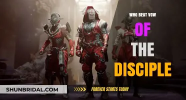 Unveiling the Raid Team That Conquered Vow of the Disciple