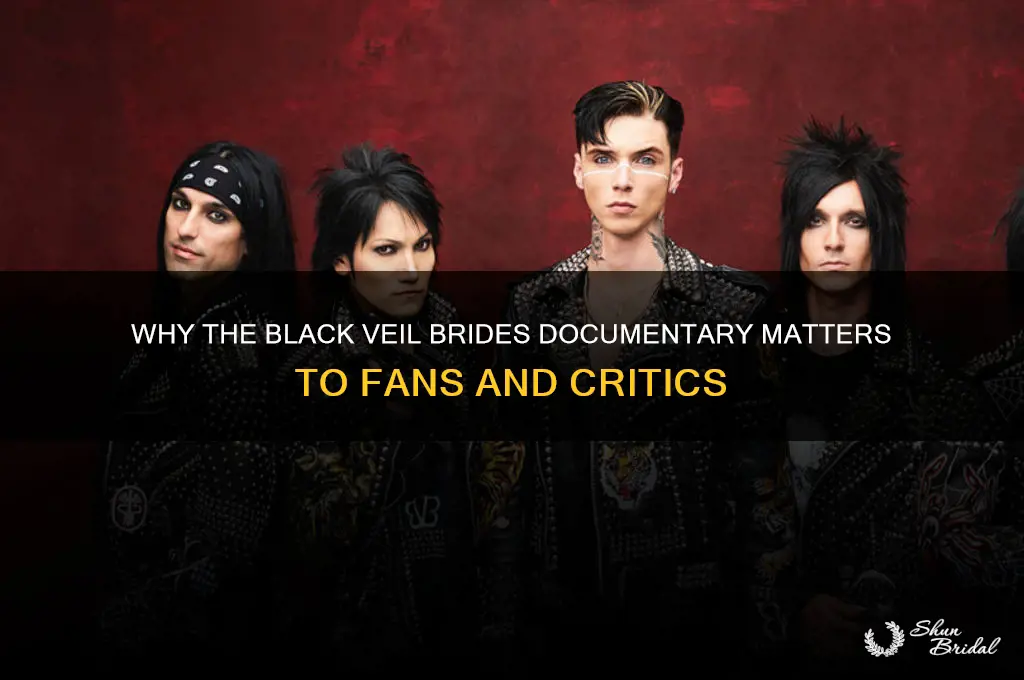 who cares about black veil brides documentary