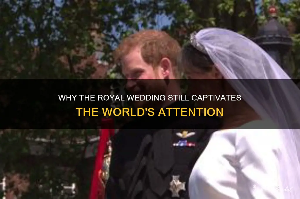 who cares about royal wedding