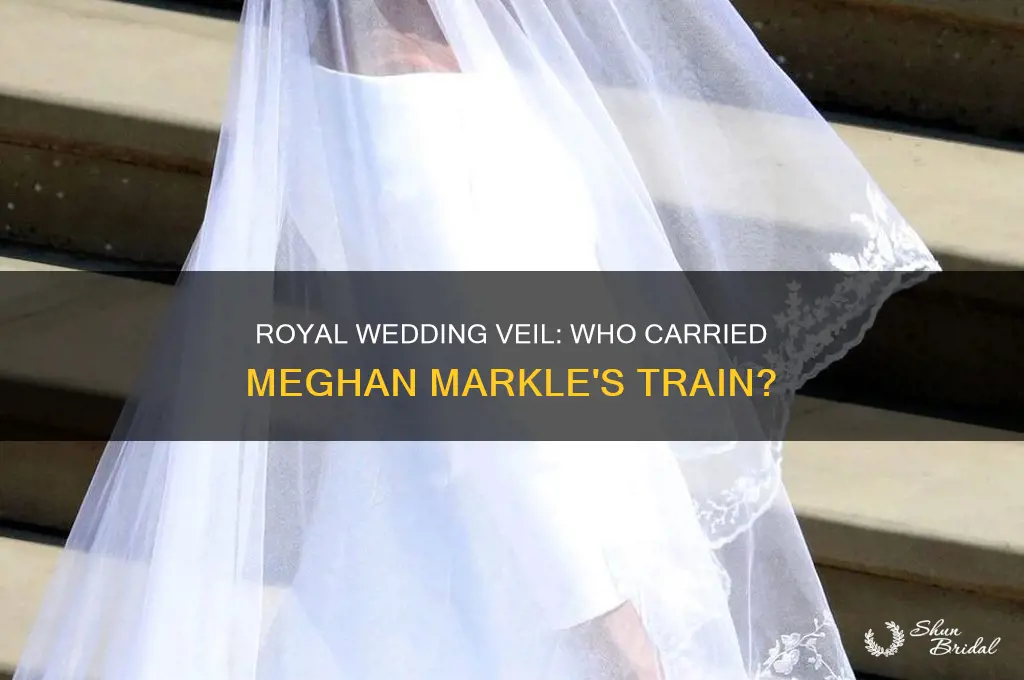 who carried meghan markles veil at the royal wedding