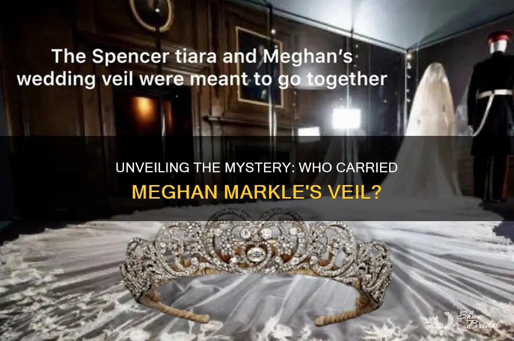 who carried meghan markles veil