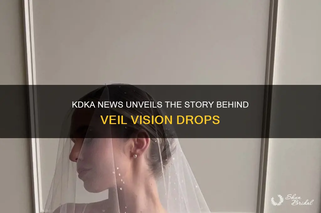 who did story on veil vision drops on kdka news