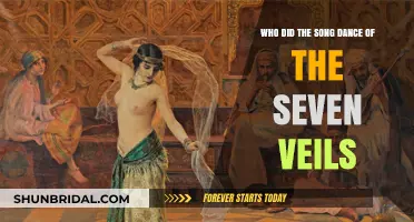 Dance of the Seven Veils: Unveiling the Artist Behind the Song