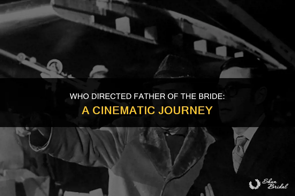 who directed father of the bride