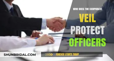 Corporate Veil Protection: Safeguarding Officers from Personal Liability