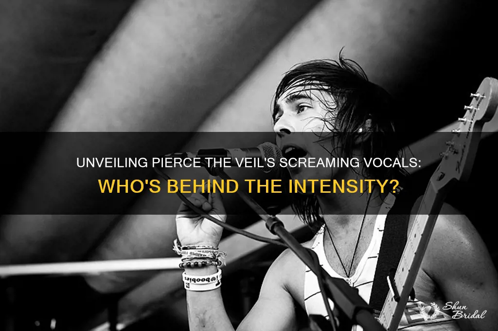 who does the screaming in pierce the veil
