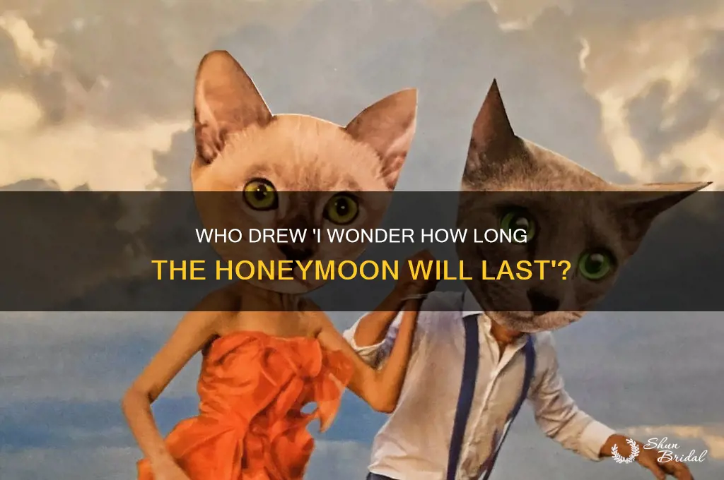 who drew i wonder how long will the honeymoon last