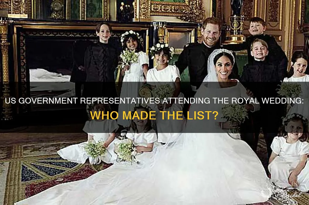 who from us govt went to royal wedding