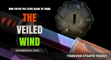 The Mystery of the Lotus Blade: Who Gifted Thane the Veiled Wind?
