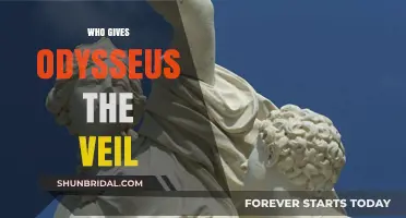 The Veil of Invisibility: Who Gifts Odysseus His Magical Cloak?