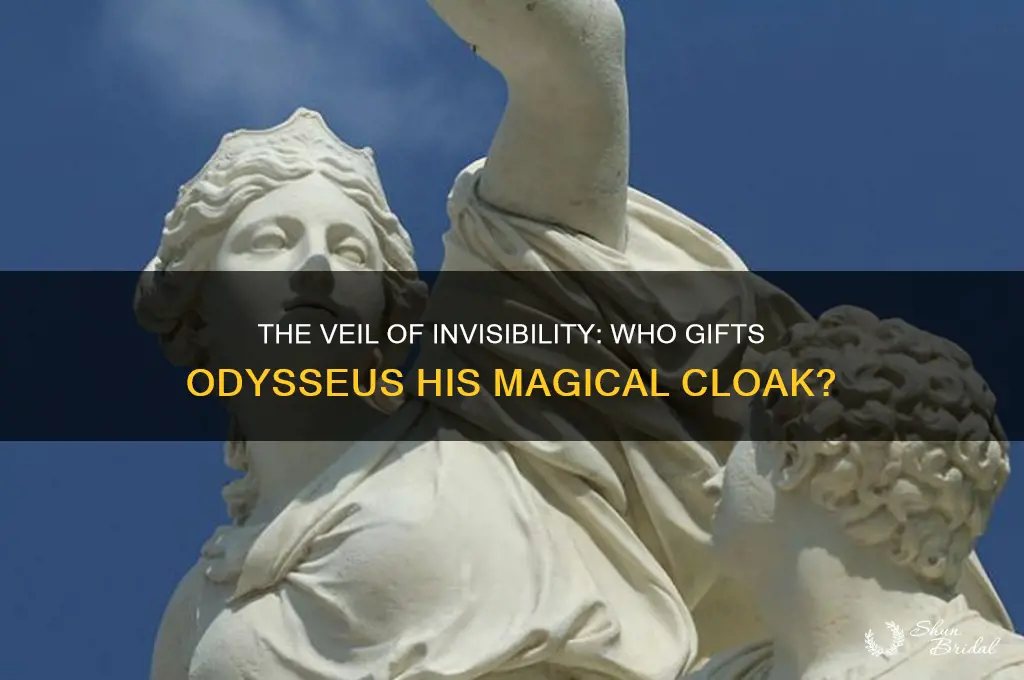 who gives odysseus the veil