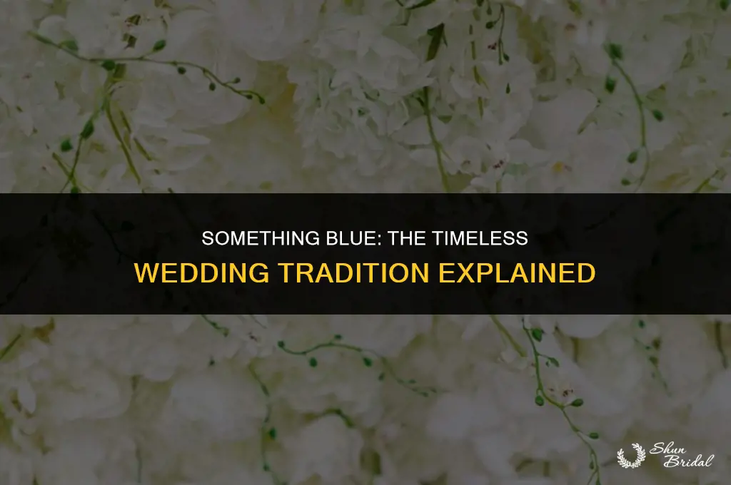 who gives the bride something blue