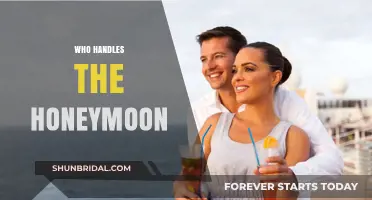 Who Handles the Honeymoon: Couples, Planners, or Travel Agents?