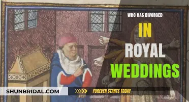 Royal Splits: Divorces That Shook Royal Weddings and Families