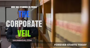 Piercing the Corporate Veil: Understanding Who Has Legal Standing