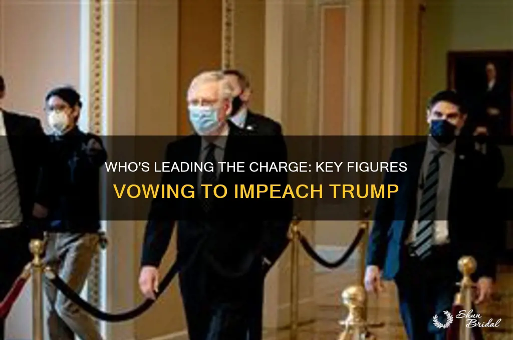 who has vowed to impeach trump
