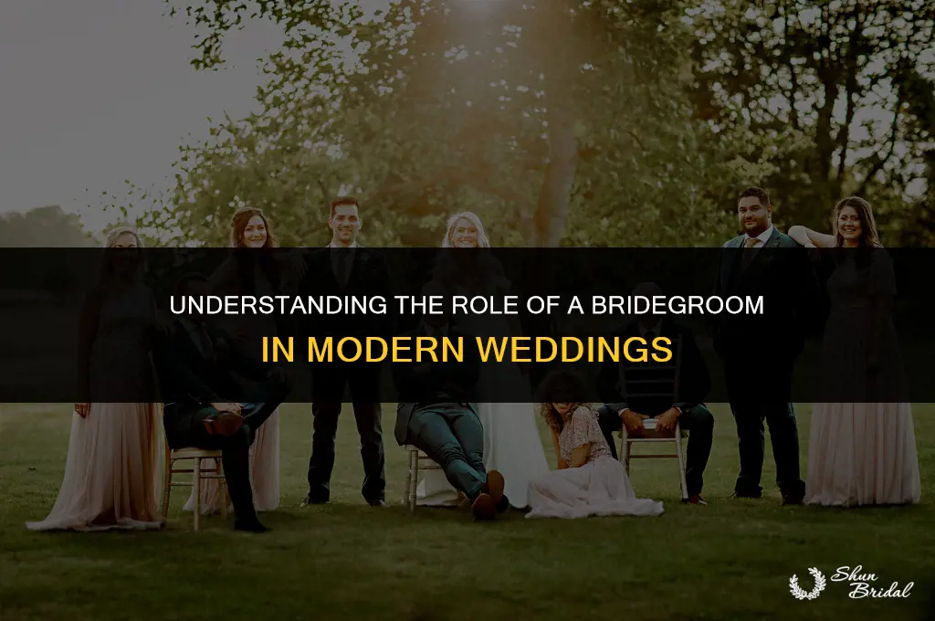 who is a bridegroom