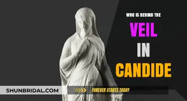 Unveiling Candide's Mystery: Exploring the Figure Behind the Veil