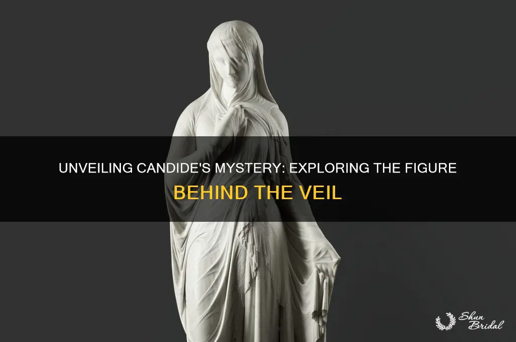 who is behind the veil in candide