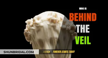 Unveiling the Mystery: Who Hides Behind the Veil?