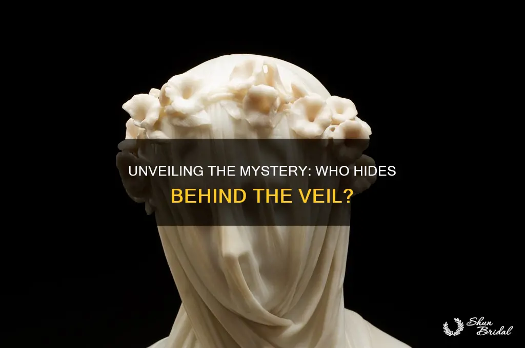 who is behind the veil